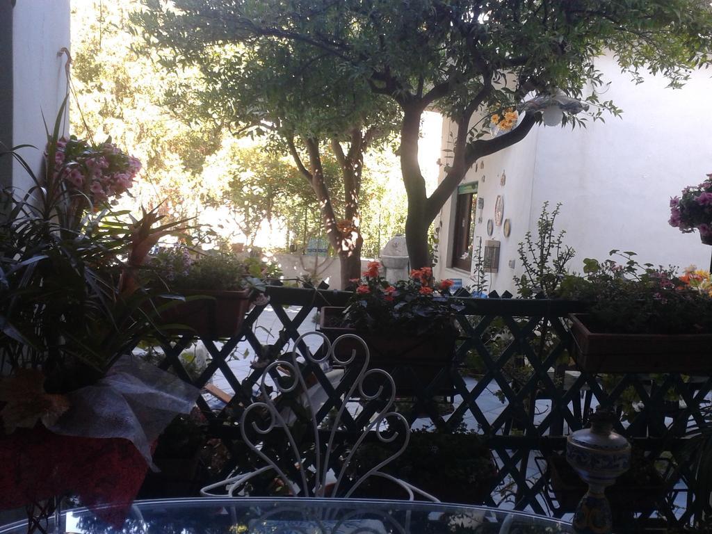 B&B Albatros Lipari  Room photo