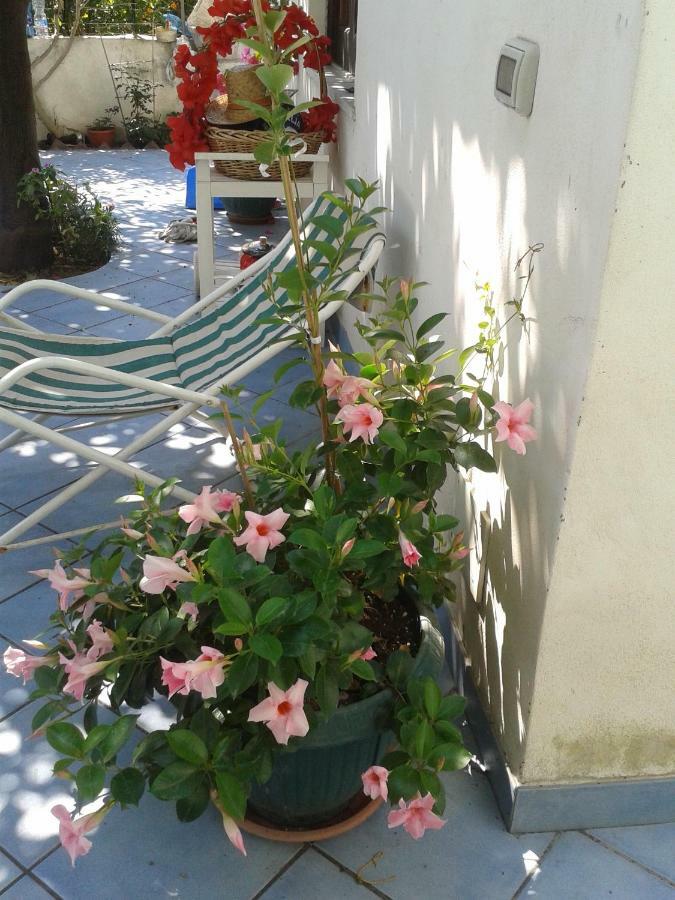 B&B Albatros Lipari  Exterior photo
